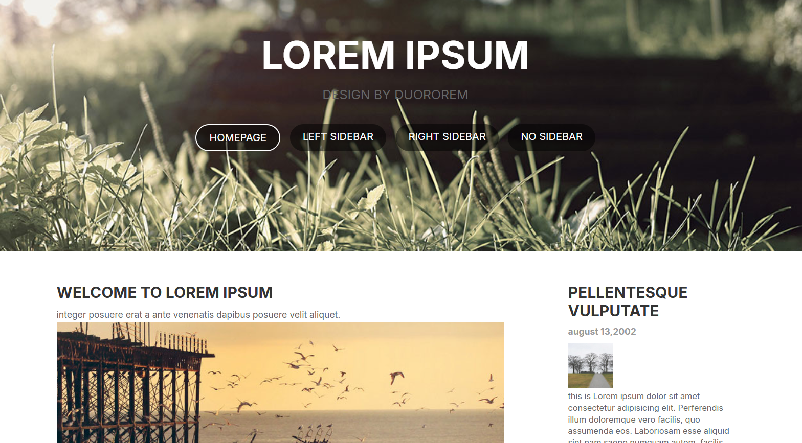 Preview Projeto Web2